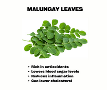 Load image into Gallery viewer, Malunggay (Moringa)