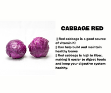 Load image into Gallery viewer, Cabbage Red