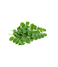 Load image into Gallery viewer, Malunggay (Moringa)