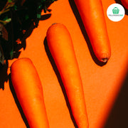 Carrot Medium (Untrimmed)