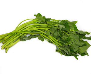 Kangkong Tagalog